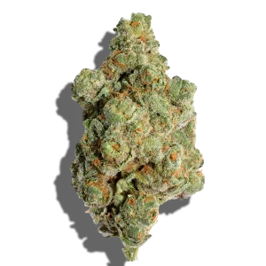 Lemon Cherry Gelato
